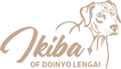 ikiba-of-doinyo-lengai.de Logo